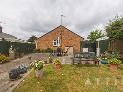 Picture 21